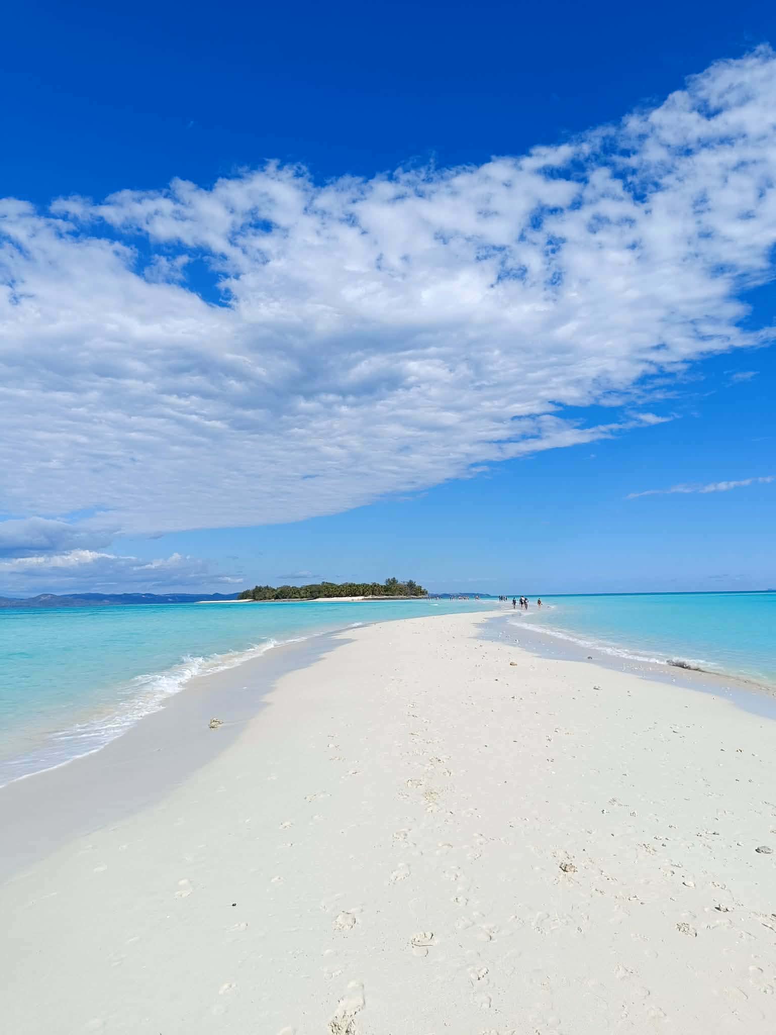 Mangrove Estuary - Madagascar coastal ecosystem