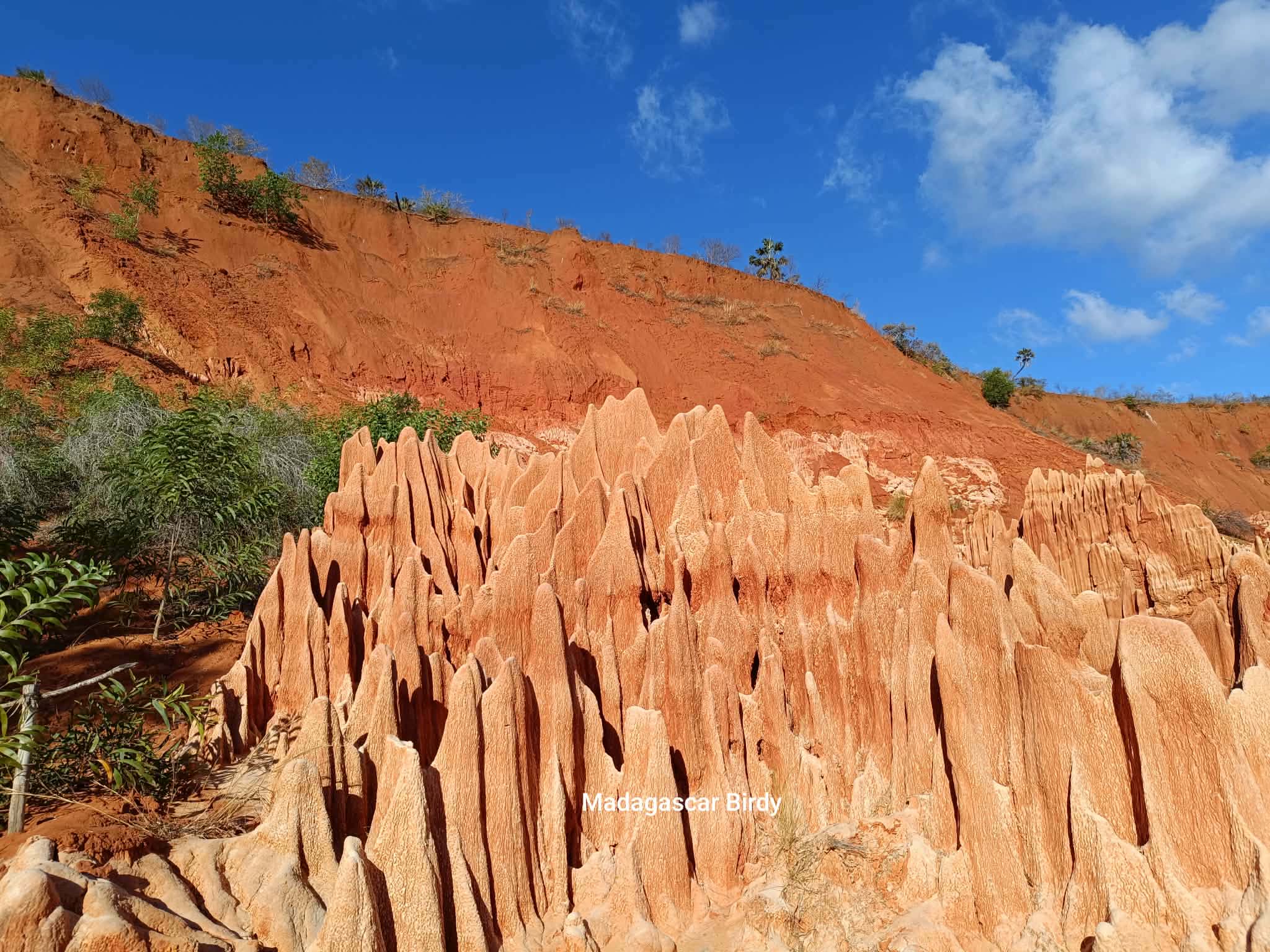 Tsingy de Bemaraha - limestone formations Madagascar